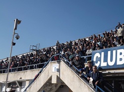 VIPERELE ALBASTRE AU IMN!