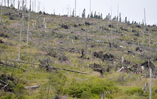 Optimism de împrumut – Proză SF