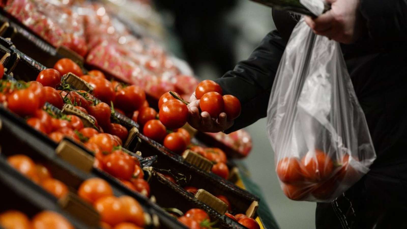 Rusia nu va mai importa unele fructe, legume si carne de pui din Turcia