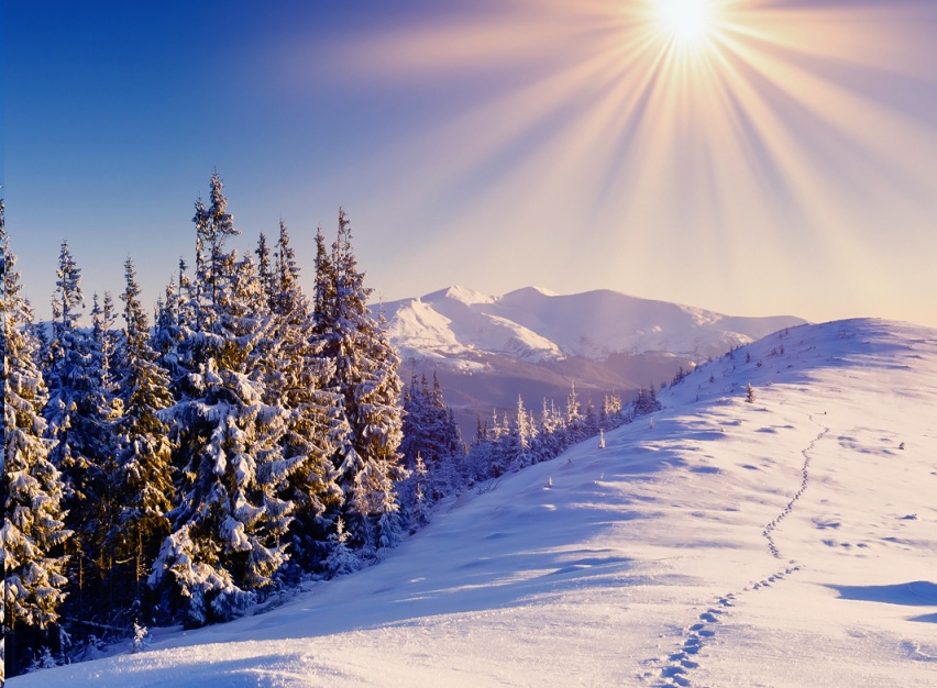 1 DECEMBRIE – UNDREA