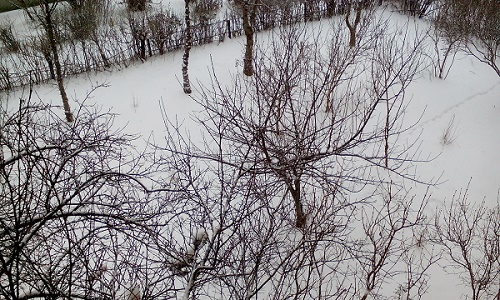 Azi despre ieri – 5 ianuarie 2016