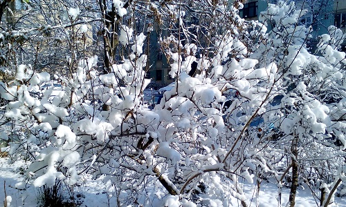 Azi despre ieri – 26 ianuarie 2016