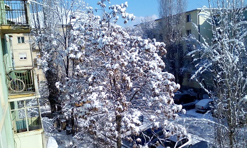 Azi despre ieri – 27 ianuarie 2016