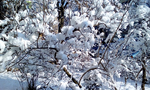 Azi despre ieri – 28 ianuarie 2016