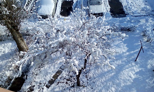 Azi despre ieri – 31 ianuarie 2016