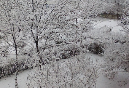 Azi despre ieri – 17 ianuarie 2016