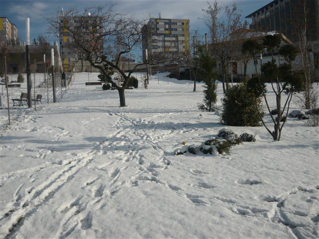 Fara curent electric in Olt