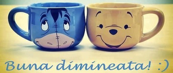 Buna dimineata, Oltenia!