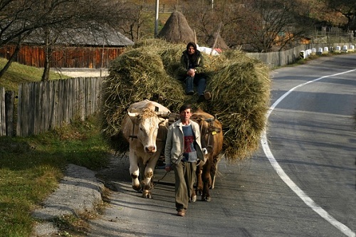Romania este o ţară a contrastelor (audio)