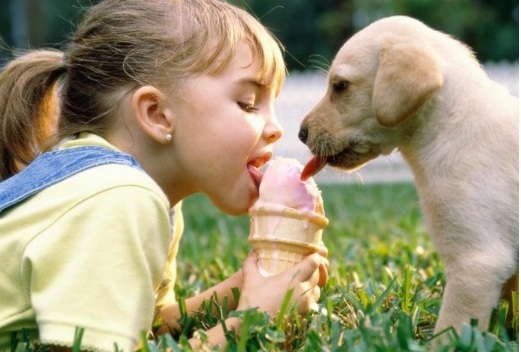 Copiii știu limba câinilor!