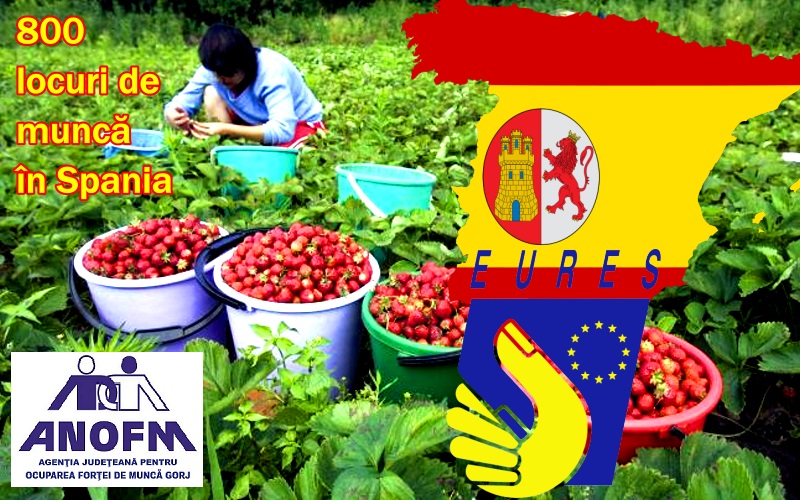Gorj: 800 de locuri de munca in Spania