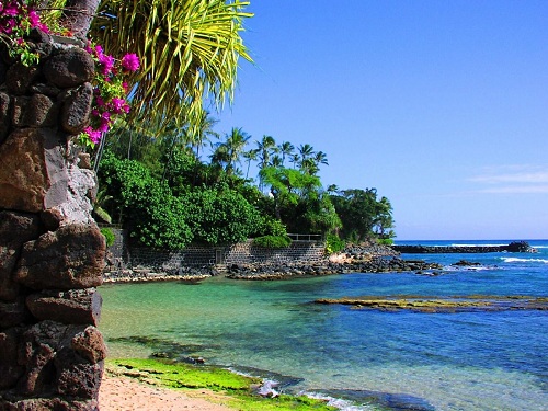 Vacanțe în străinătate (audio)