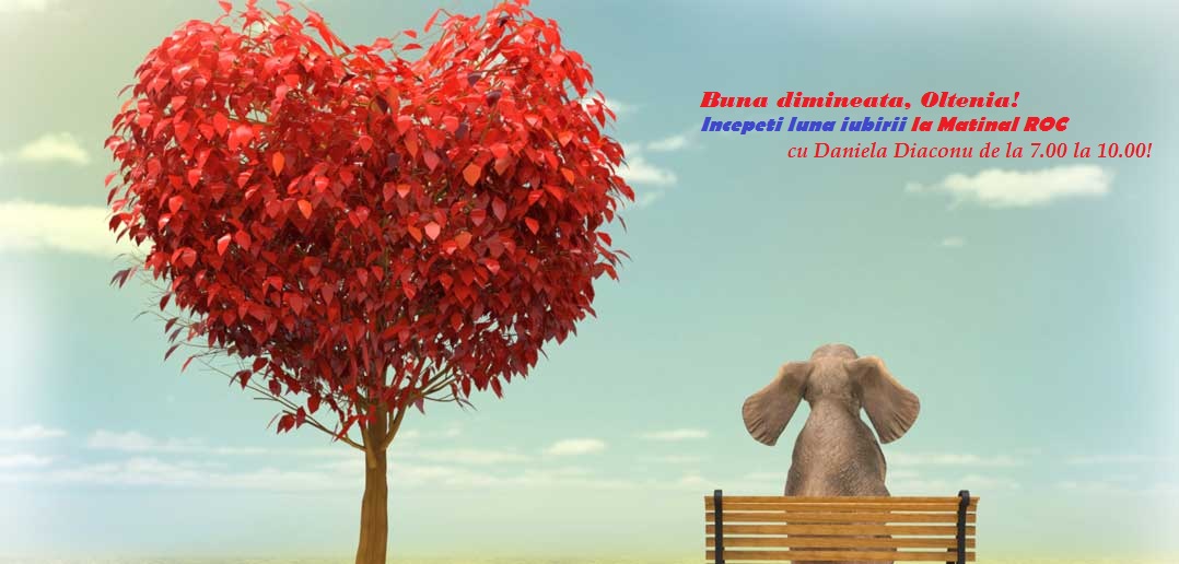 Buna dimineata, Oltenia!