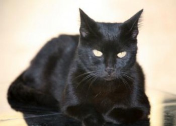 Superstitii de Anul Nou