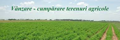 Poate fi limitată cumpărarea terenurilor agricole de străini?