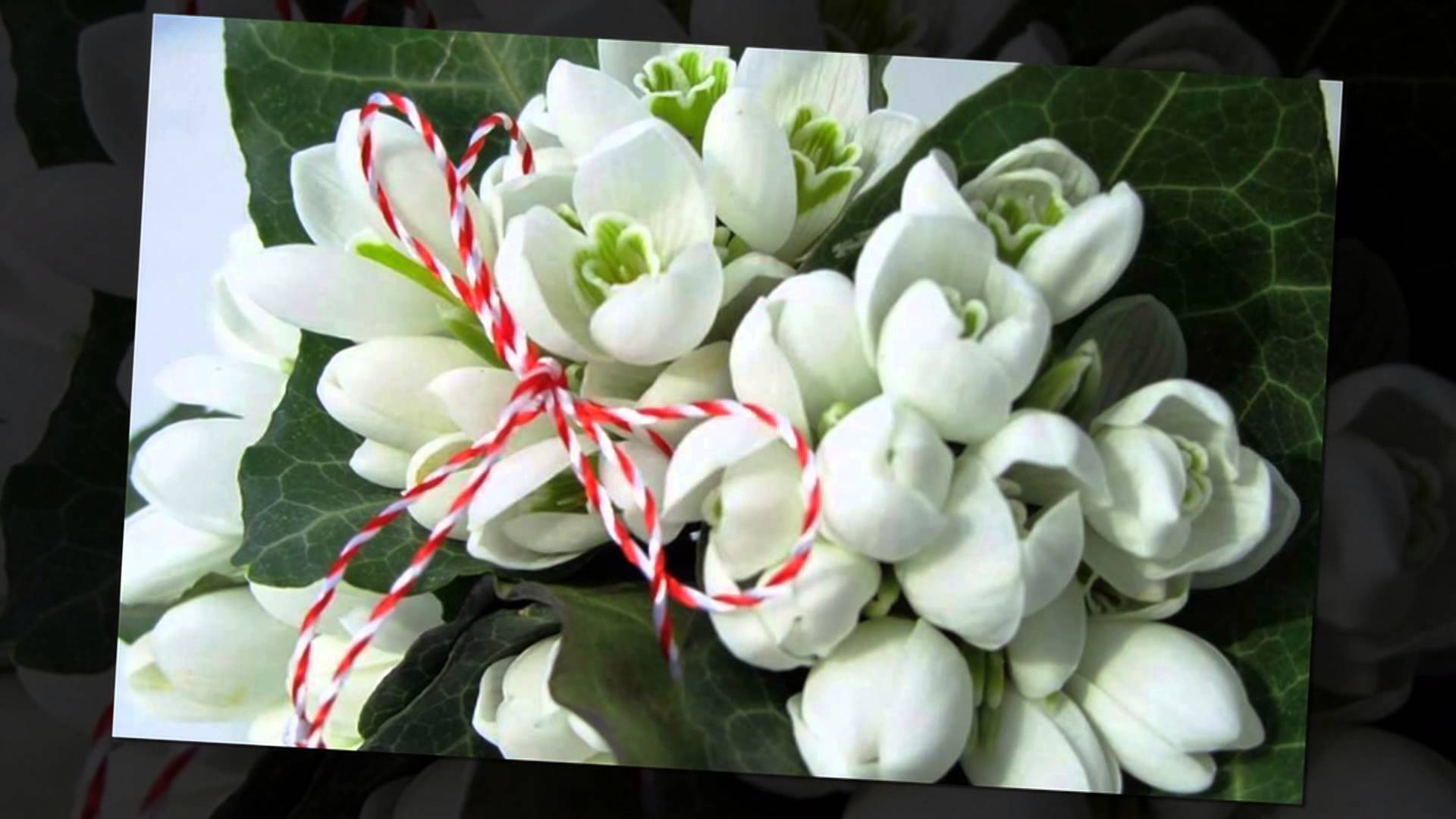 1 MARTIE – MARTISOR