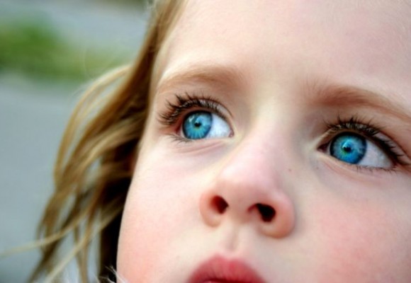 11 FEBRUARIE – VLASII OCHILOR