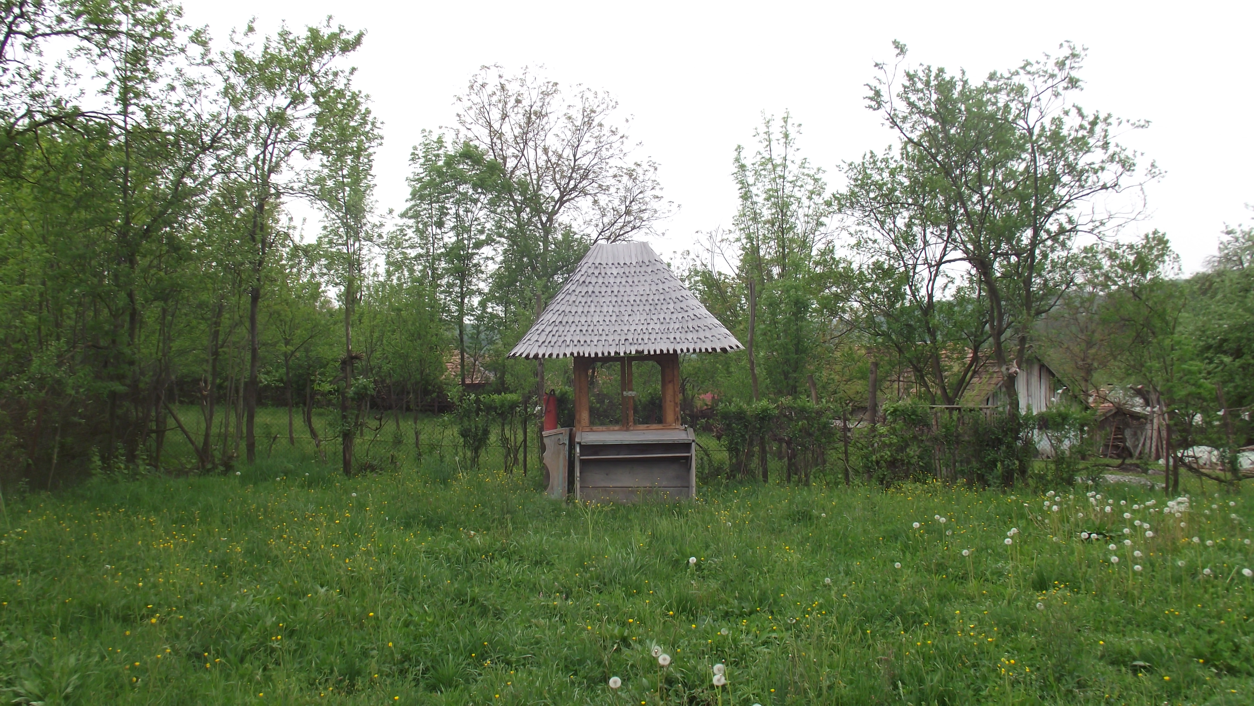 24 MARTIE – ROST INTORS