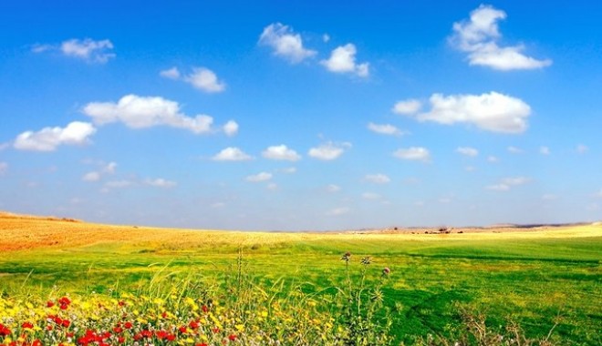 27 MARTIE – DE CE E CERUL SUS SI PAMANTUL JOS