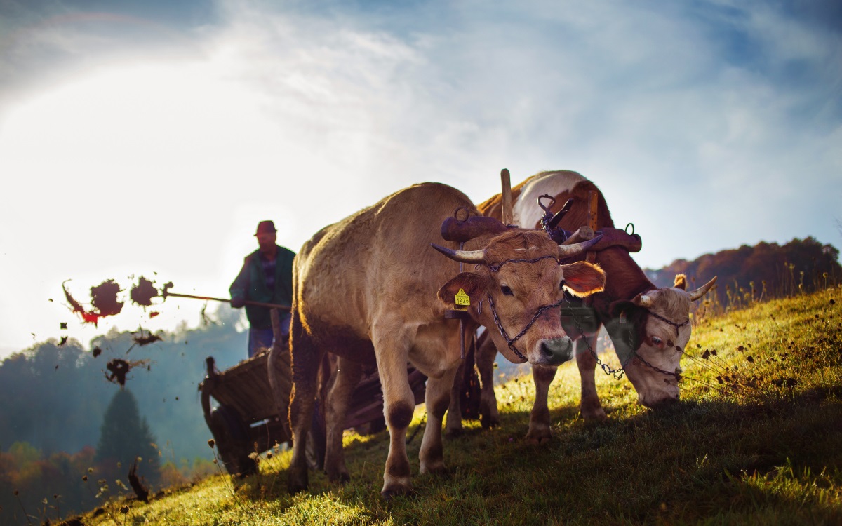 28 MARTIE – PRACTICI AGRARE SI STRAVECHI