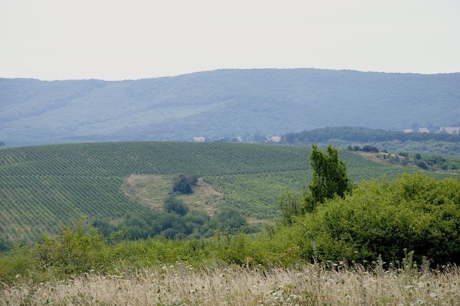 29 MARTIE – SARBATOAREA DEALULUI