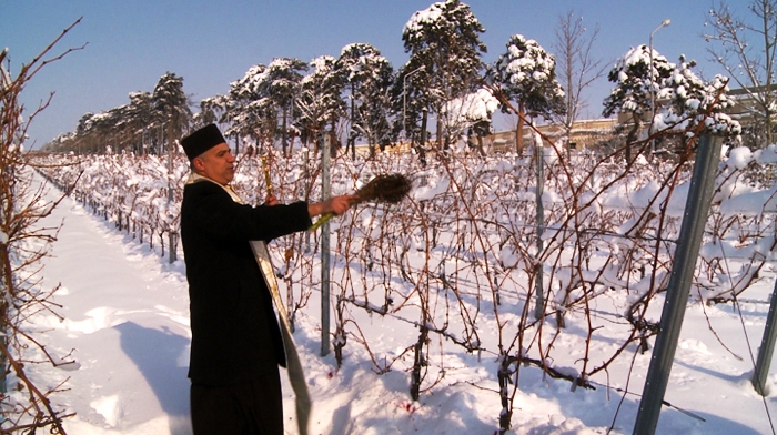 5 FEBRUARIE – TRIFANITUL SI TARCOLITUL VIILOR