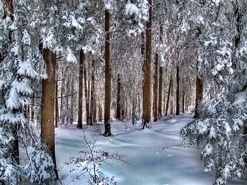 ATENTIONARE METEO Vremea se raceste!