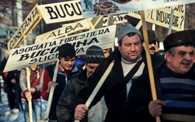 Proteste ale angajatilor din industria forestiera