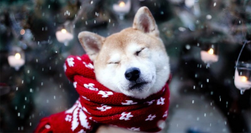 Informare meteo de precipitații mixte și vânt puternic în întreaga țară