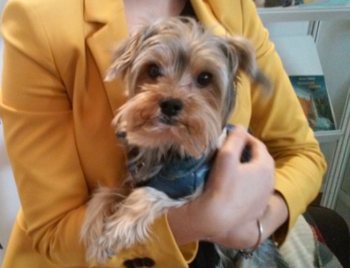 Azi despre ieri – 6 martie 2016