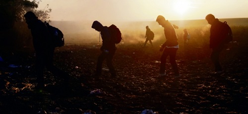 Doi afgani au incercat sa intre ilegal in Romania