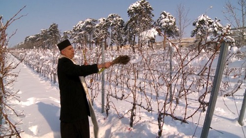 1 februarie – Sfântul Mucenic Trifon