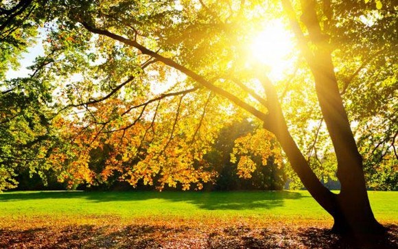 Prognoza meteo – 22 octombrie