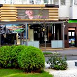 „Artă sau violenţă? Tu alegi!”