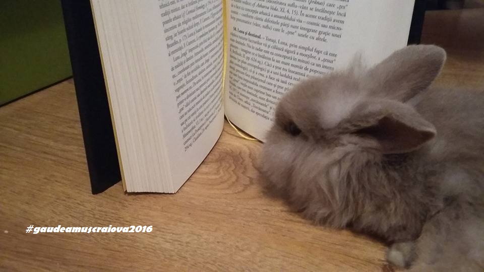 Pregatit pentru lectura?