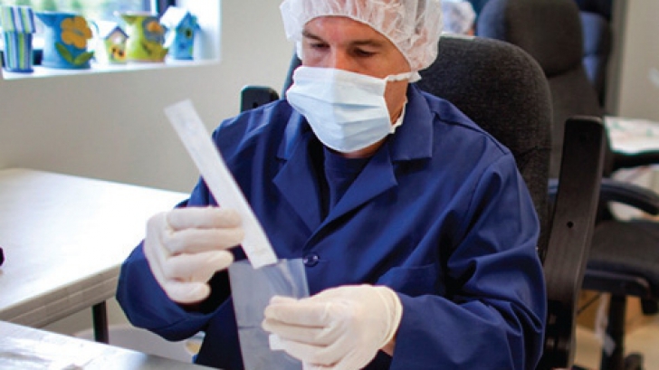 Noi cazuri de gripa porcina in Olt