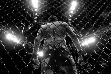 Divizia MMA: Bataie Nationala!