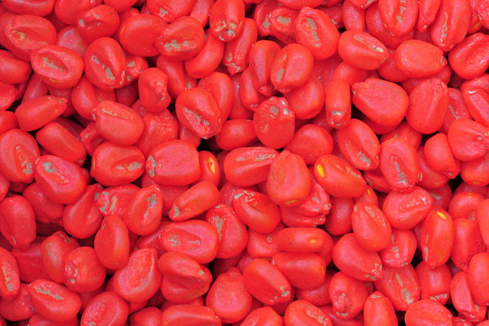 Derogare pentru folosirea neonicotinoidelor