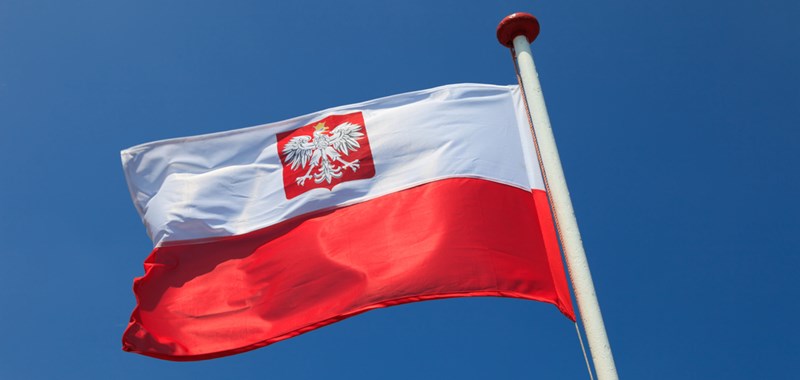 Cursuri gratuite de limba polona la Craiova