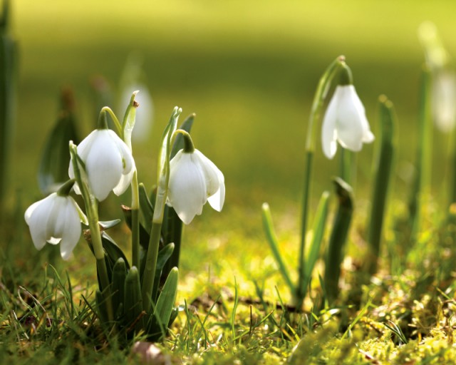 METEO Afla cum va fi vremea in Oltenia pana pe 7 martie!