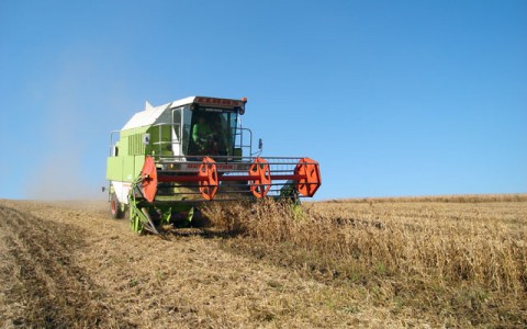 Taxe la jumate pentru fermierii din Gorj