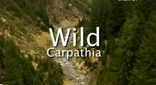 „Wild Carpathia“ a reînceput filmările