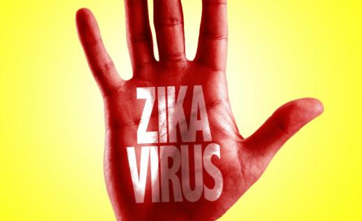 Virusul Zika a ajuns in Italia!