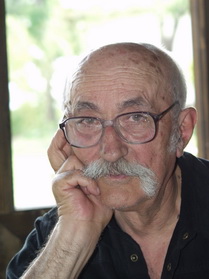 Eustatiu Gregorian/ povesti, pasteluri si papusi