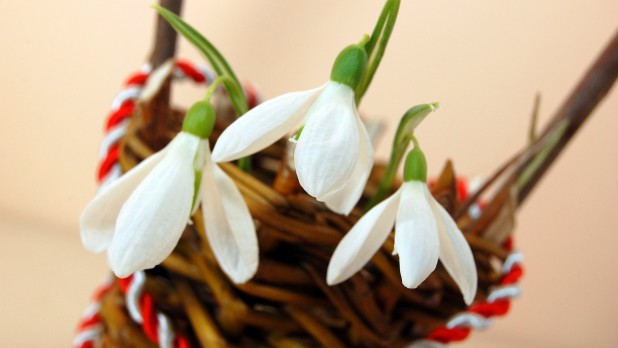 8 Martie: De la “Duminica maternităţii”, la greva muncitoarelor din Sankt Petersburg