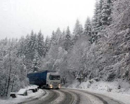 Ninge abundent în Gorj!