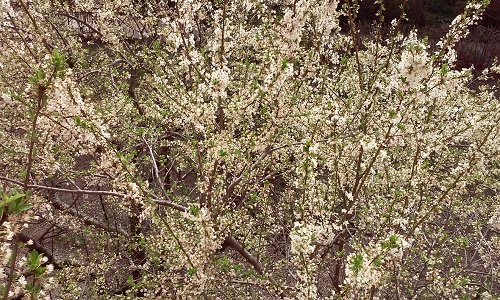 Azi despre ieri – 3 aprilie 2016