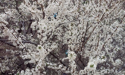 Vremea în Oltenia: 14-20 martie 2016