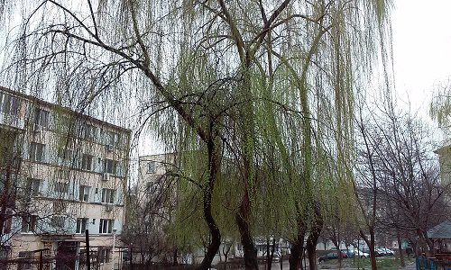 Vremea în Oltenia: 7-13 martie 2016