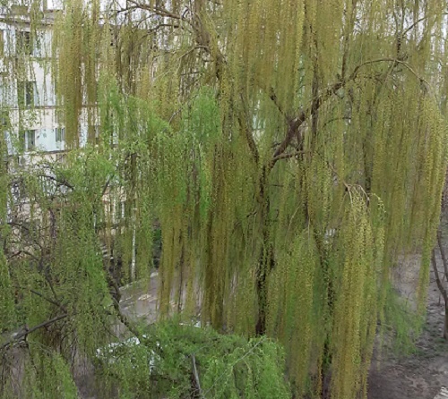 Vremea în Oltenia: 28 martie-3 aprilie 2016